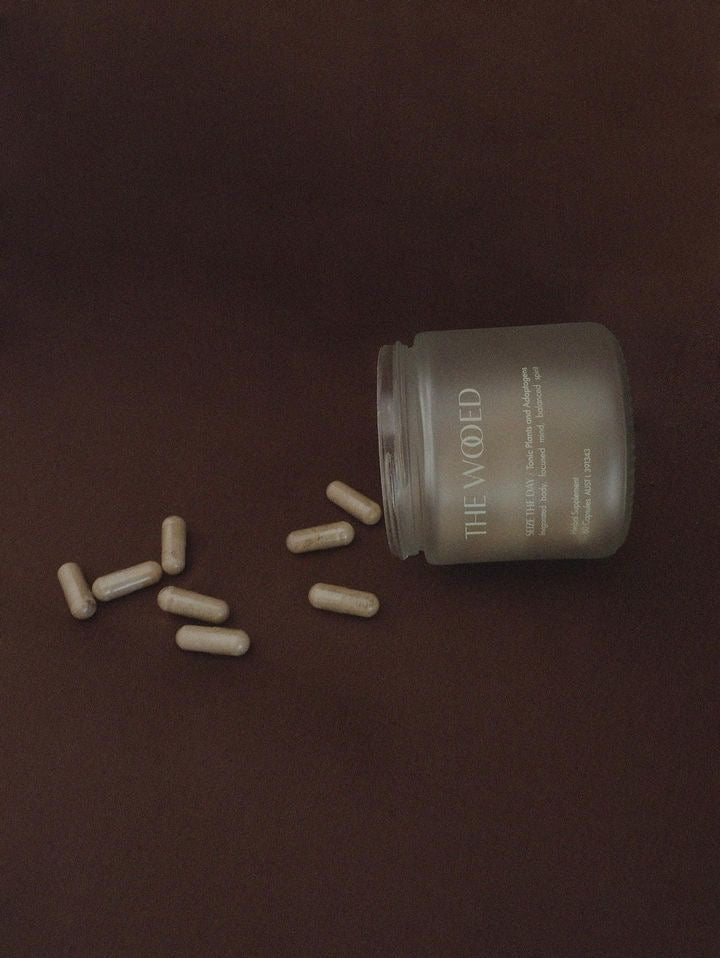 Nervous System Support