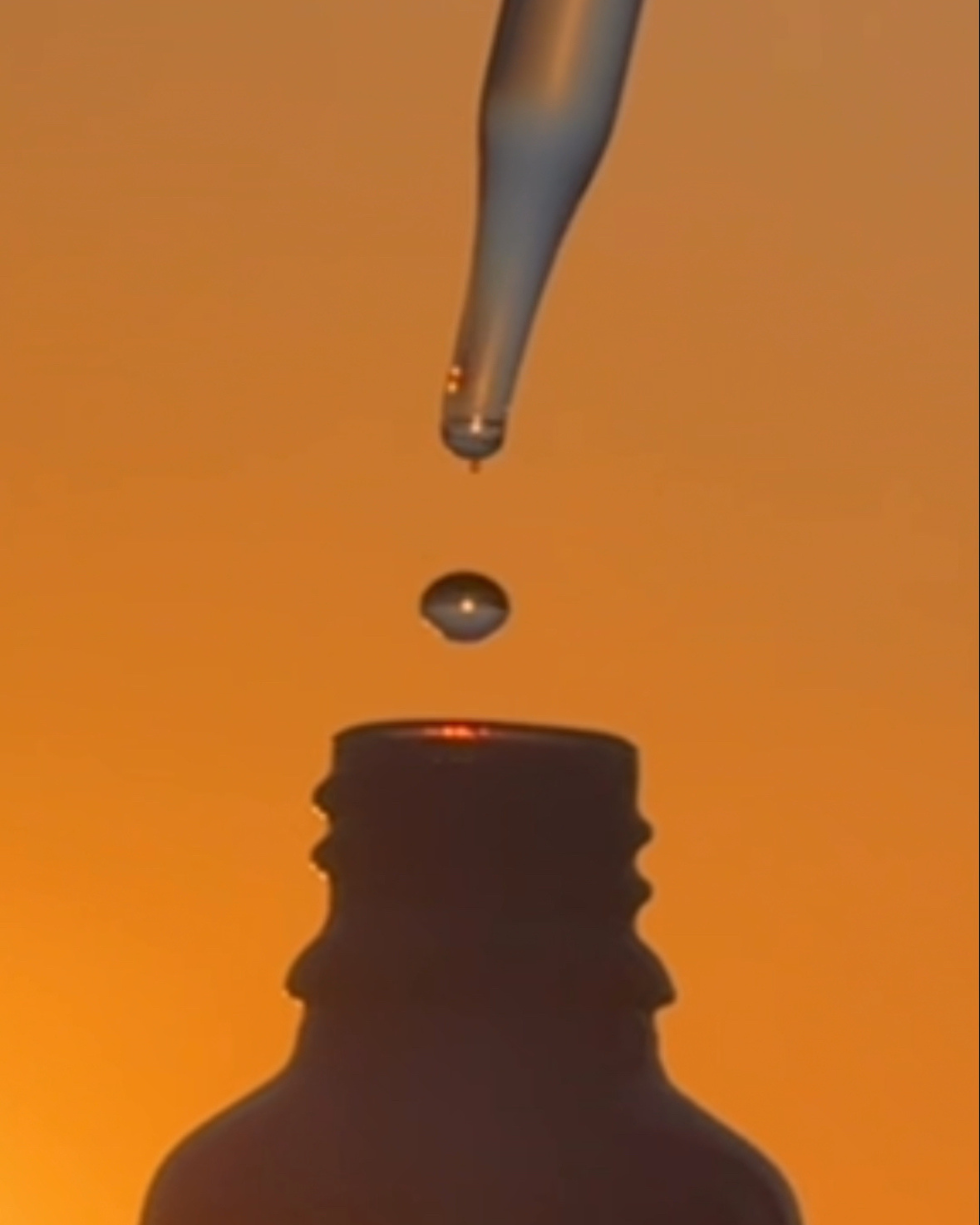 WILD FLOWER REMEDIES